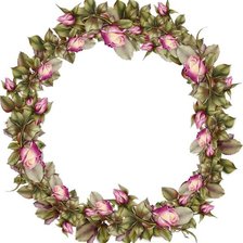 венок из роз