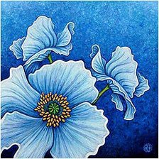 Схема вышивки «мак»