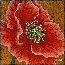 Схема вышивки «мак»