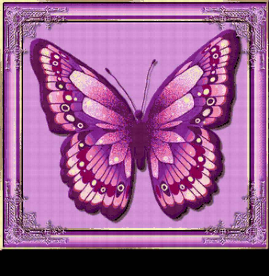 Бабочка - бабочки - предпросмотр