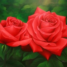 Схема вышивки «Розы»