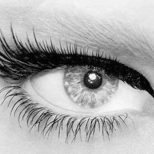 Схема вышивки «№115060»