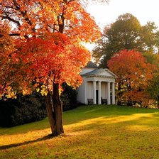 Схема вышивки «природа»