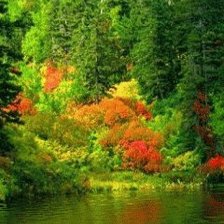 Схема вышивки «лес»