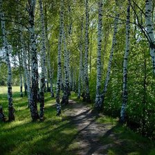 Схема вышивки «лес»