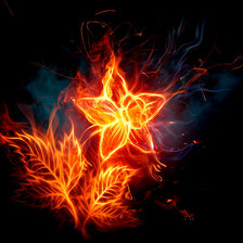 Схема вышивки «Огненный цветок»