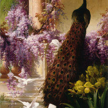 Схема вышивки «павлин и голуби»