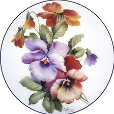 анютины глазки