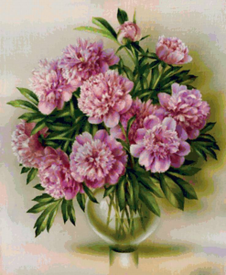 букет пионов - букет, цветы - предпросмотр