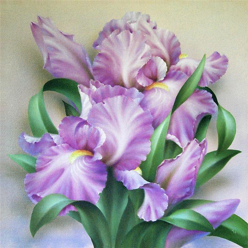 ирисы - подушка, цветы - оригинал