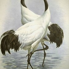 Схема вышивки «Журавли»