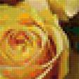 Предпросмотр схемы вышивки «розы» (№115327)