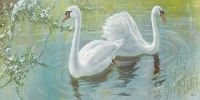 Схема вышивки «Лебеди»