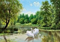 Схема вышивки «Лебеди»