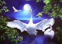 Схема вышивки «Лебеди»