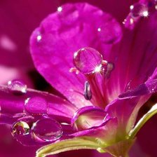 Схема вышивки «№115399»