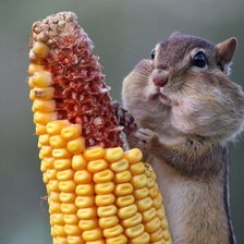 Схема вышивки «№115400»