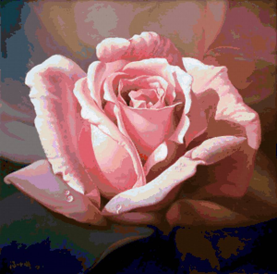 Роза - роза - предпросмотр