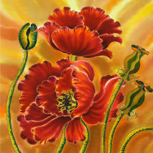 Схема вышивки «Маки»