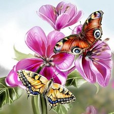 Схема вышивки «Бабочки»