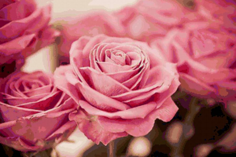 розы - картина, розы, цветы - предпросмотр