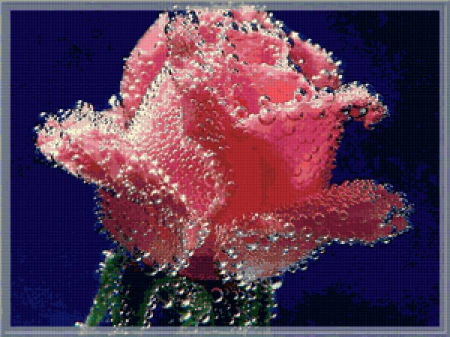 №115607 - картина, розы, цветы - предпросмотр