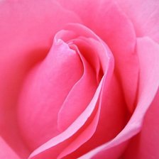 Схема вышивки «№115611»