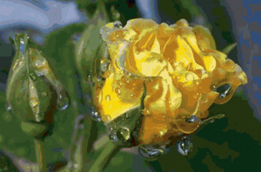 №115612 - картина, цветы, розы - предпросмотр