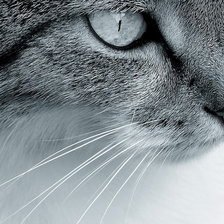 Схема вышивки «№115636»