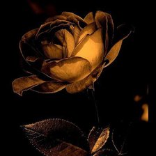 Схема вышивки «№115659»