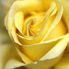 Схема вышивки «№115667»