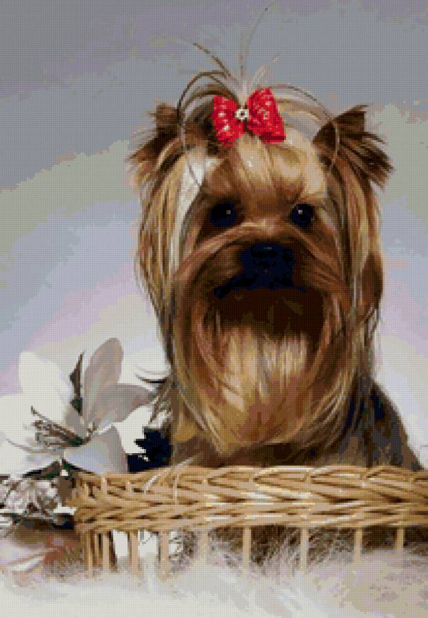 №115692 - картина, цветы, собаки, животные - предпросмотр