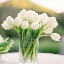 Схема вышивки «№115694»