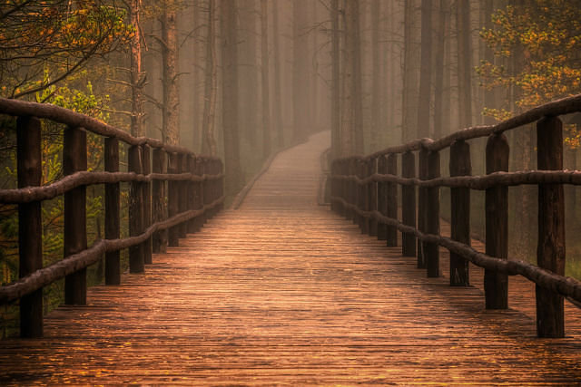 туманная дорожка - пейзаж - оригинал