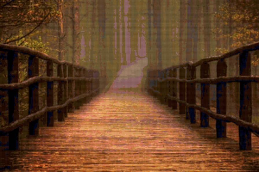 туманная дорожка - пейзаж - предпросмотр