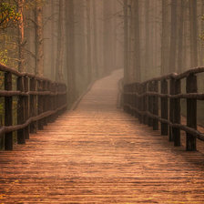 туманная дорожка