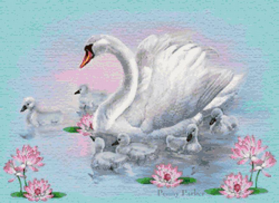 лебедь с птенцами - лебедь - предпросмотр