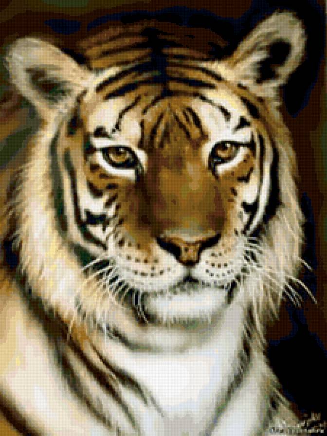 Тигр - кошки, тигры, животные - предпросмотр