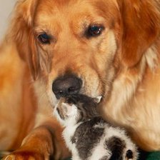 Схема вышивки «Друзья»