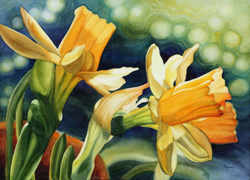 нарциссы - нарциссы, цветы, цветок - оригинал