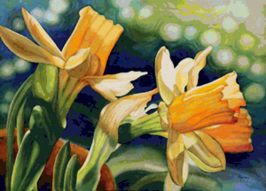 нарциссы - нарциссы, цветы, цветок - предпросмотр