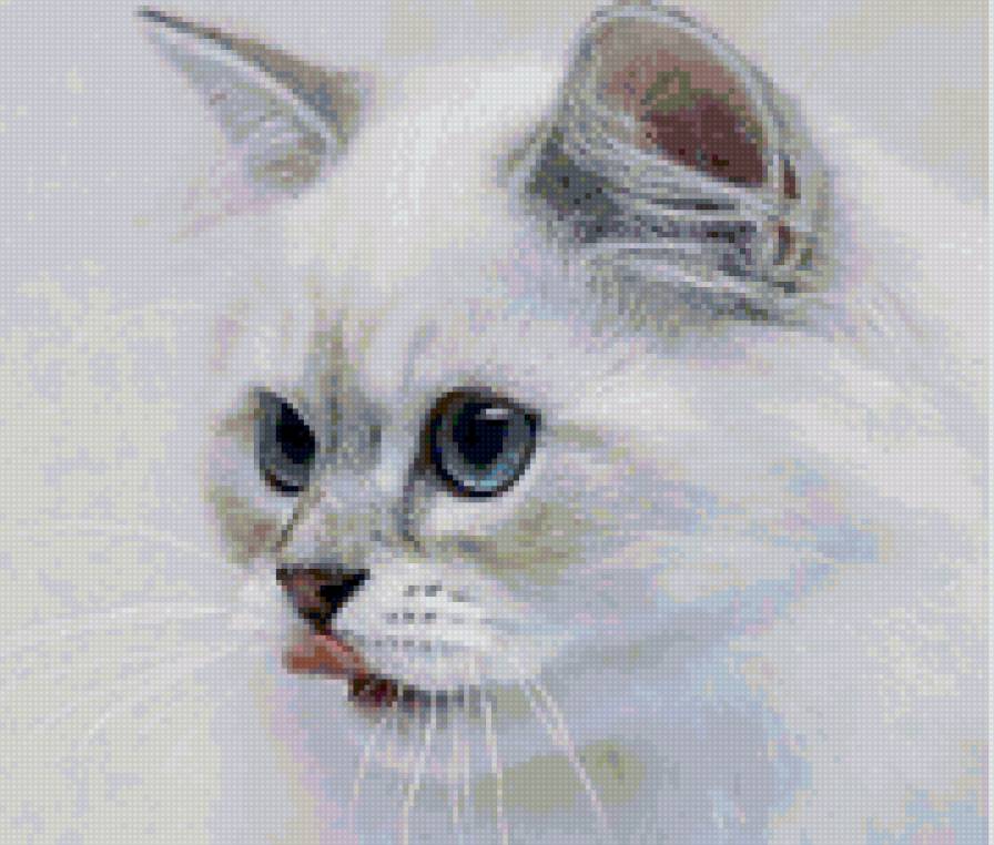 пушок - кошки, животные - предпросмотр