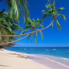 Схема вышивки «№116241»