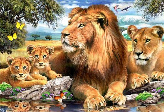 семейство львов - кошки, львы, семья, хищники - оригинал