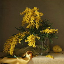 Схема вышивки «мимоза»