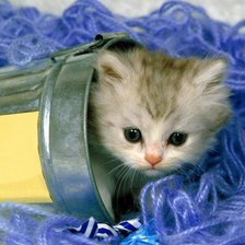 Схема вышивки «Котенок»