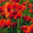 Предпросмотр схемы вышивки «маки 2» (№116551)