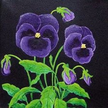 Схема вышивки «Анютки на чёрной канве»