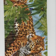 семейная идилия