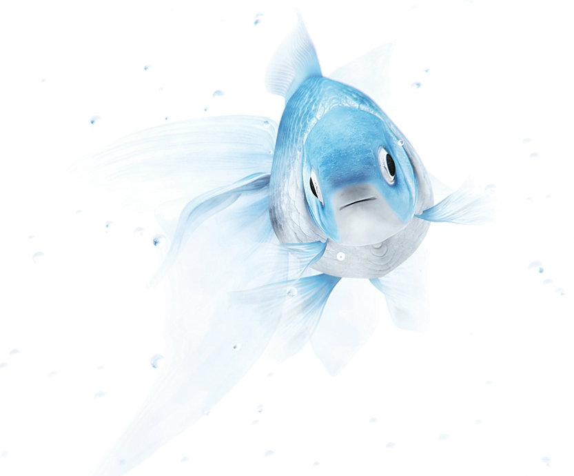 рибка - риба - оригинал